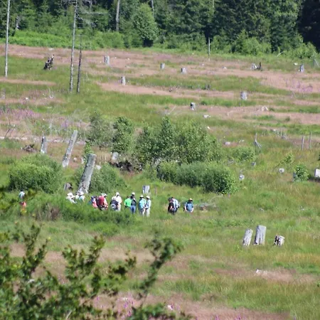 Apartment Fewogriebelschied *