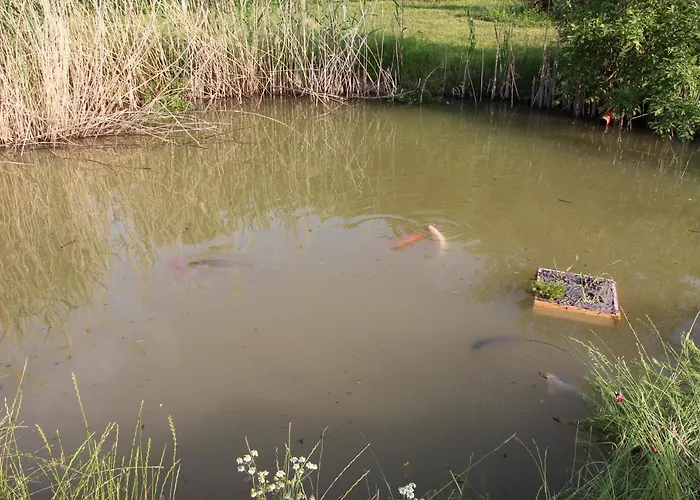 Apartamento Fewogriebelschied Griebelschied