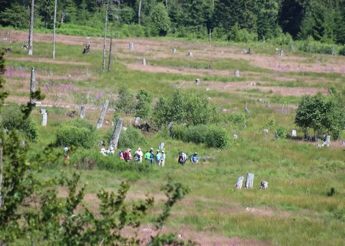 Apartamento Fewogriebelschied *