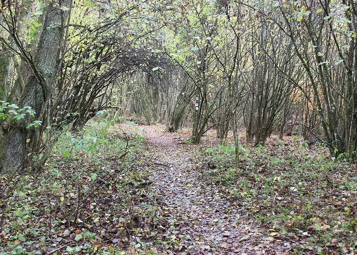 Apartamento Fewogriebelschied *